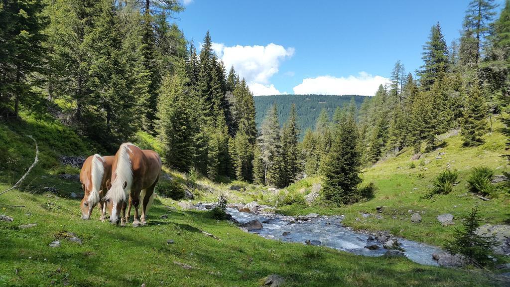 Gaestepension Klammer Kartitsch Buitenkant foto